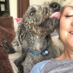 Meet your Posher, Gigi